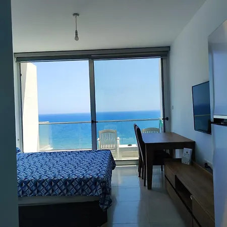 Healthy Abelia Iskele District (Northern Cyprus)