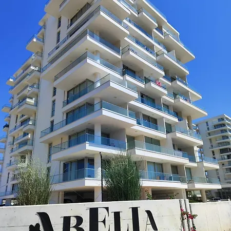 Healthy Abelia * Iskele District (Northern Cyprus)