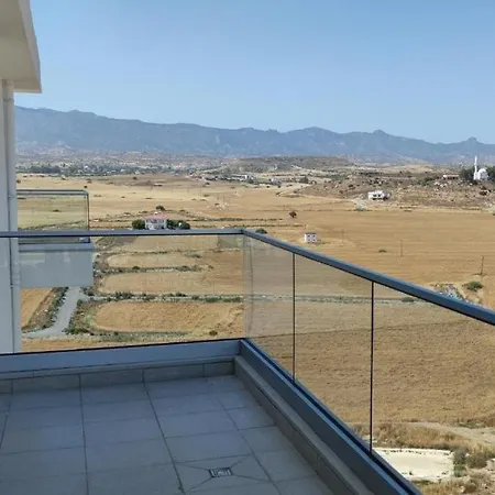 Healthy Abelia * Iskele District (Northern Cyprus)