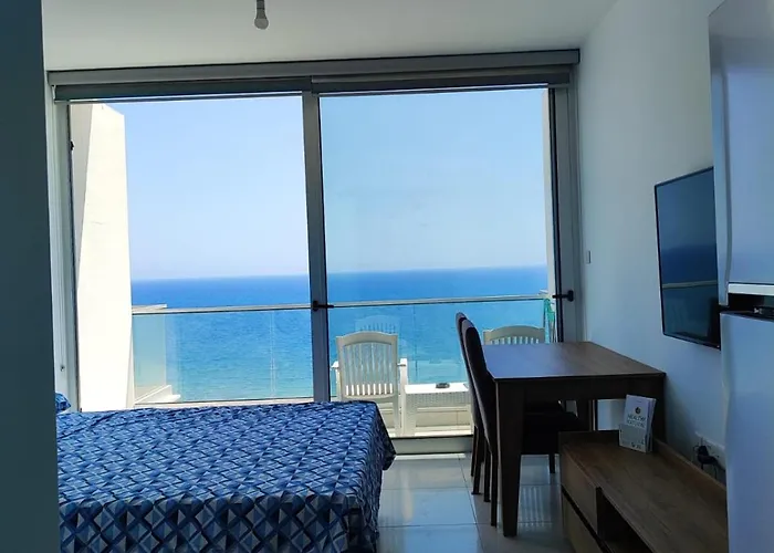 Healthy Abelia Iskele District (Northern Cyprus)